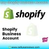 buy shopify business